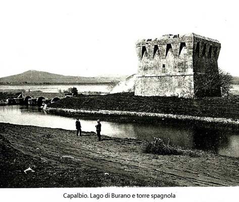 buranaccio