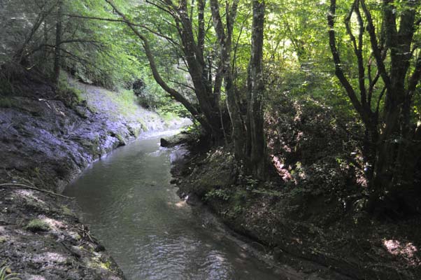 morranaccio
