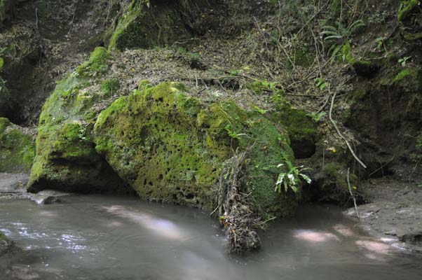 morranaccio