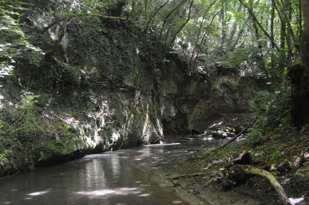 morranaccio