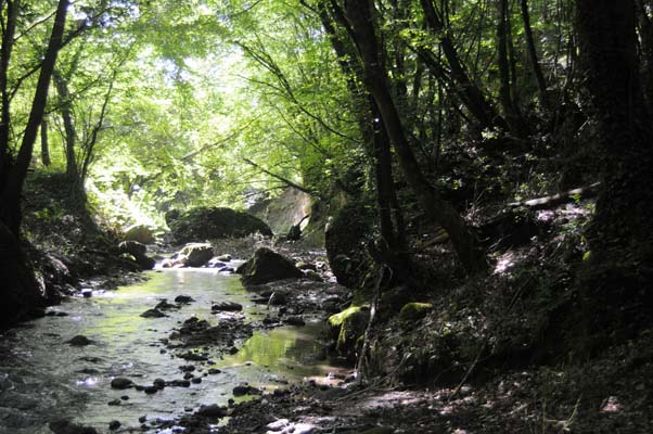 morranaccio