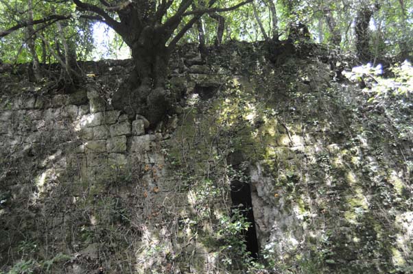 morranaccio