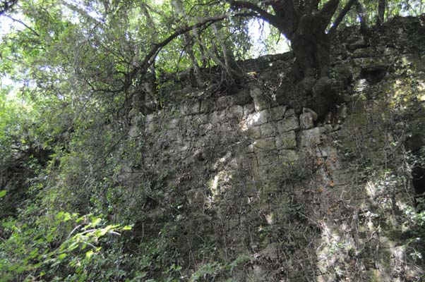 morranaccio