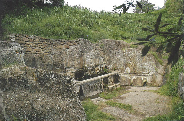 fonte dell olmo