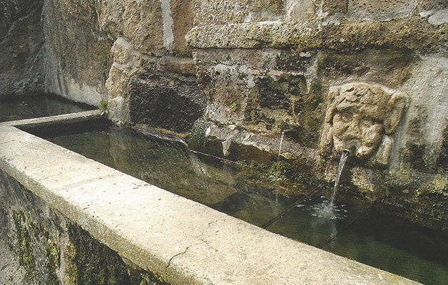fonte dell olmo