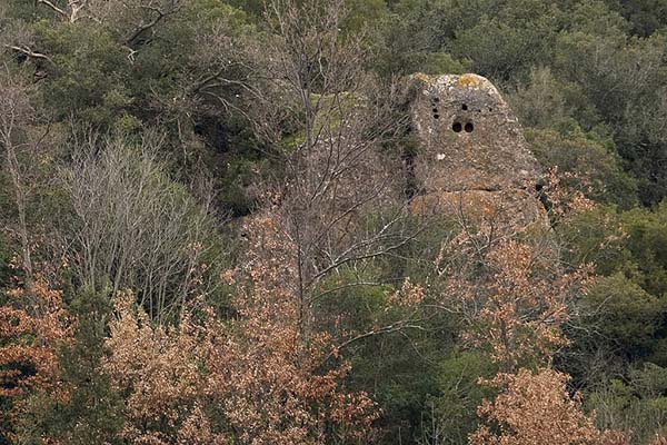 fosso della nova