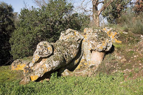 parco orsini