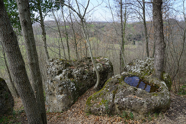 poggio rota