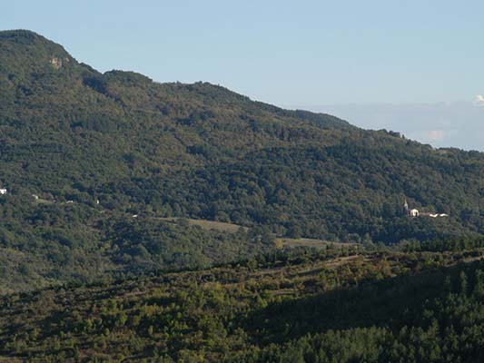 monte calvo