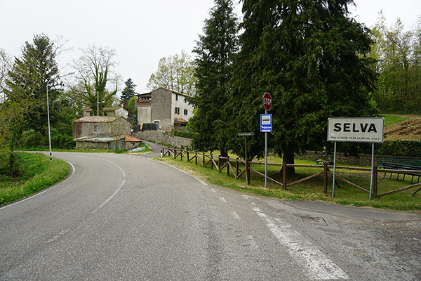 Selva