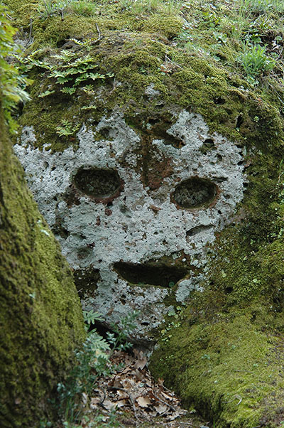 faccia