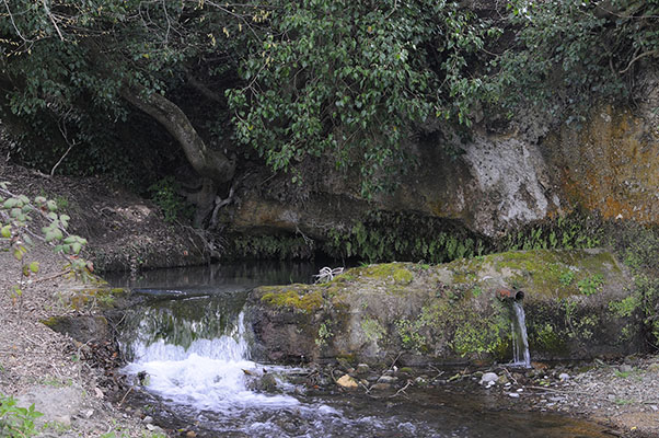 la sorgente