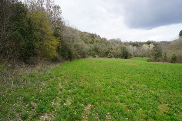 Necropoli di Poggio Grezzano