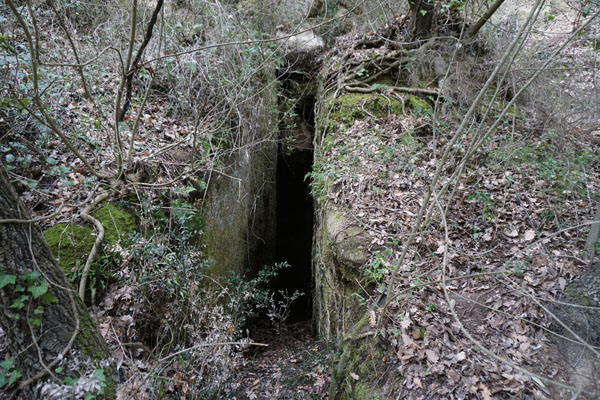 necropoli di poggio grezzano