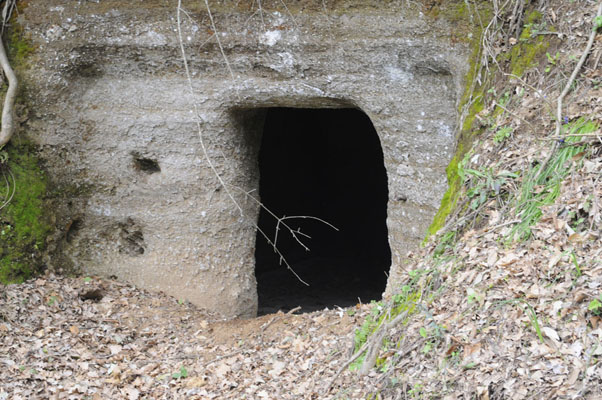 necropoli di poggio grezzano